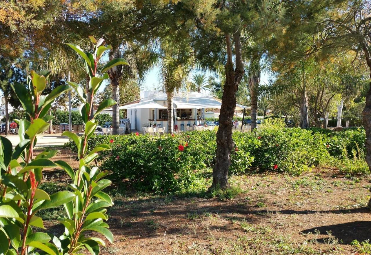 Jardines De Denia 3 Exterior foto